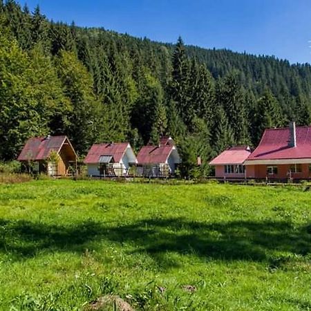 Cabana Valea Stanciului راتشيتيل المظهر الخارجي الصورة